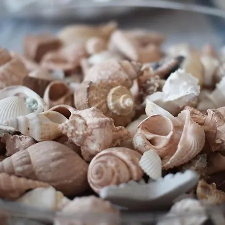 Il Mirto Apartman Porto Cervo