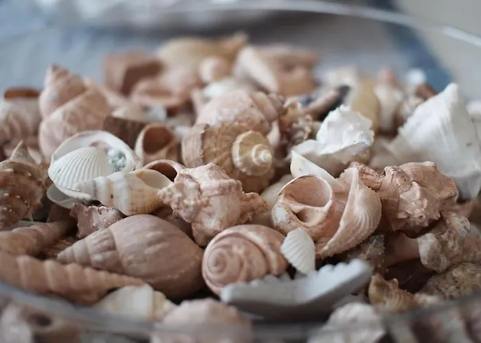 Il Mirto Apartamento Porto Cervo