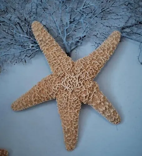 Il Mirto Porto Cervo